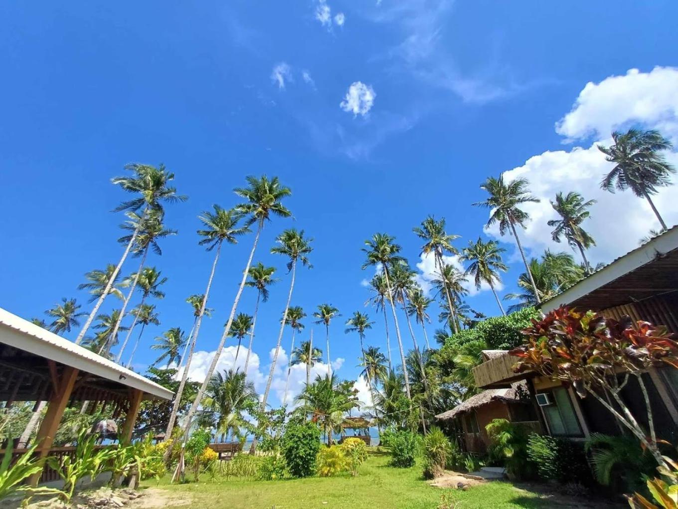 Amihan Beach Hostel San Vicente  Exteriör bild
